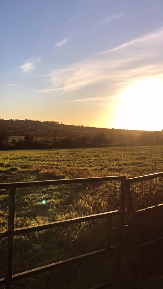 Newfoundland landscape