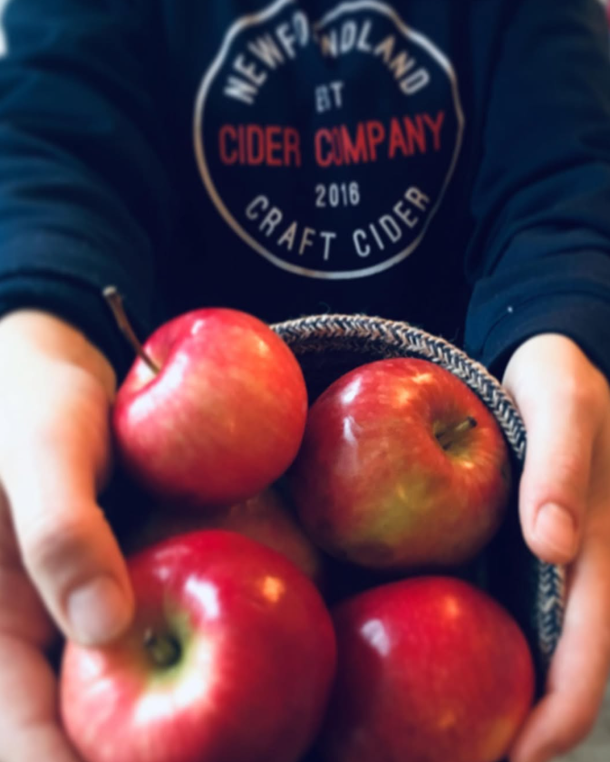 Wild apple foraging